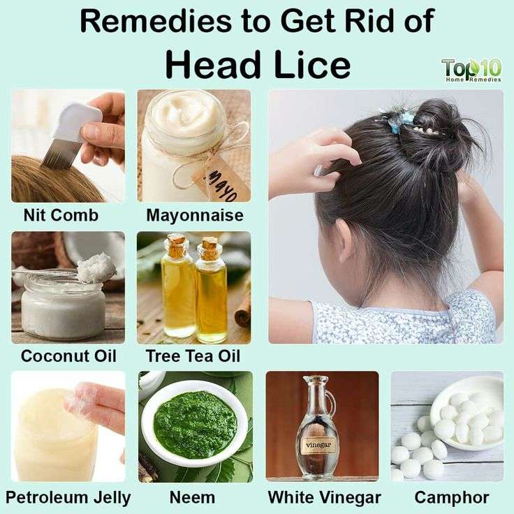 get-rid-of-lice-effective-home-lice-treatment-and-prevention-tips-1